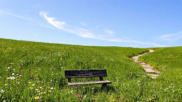 Top conseils pour un tourisme écoresponsable réussi